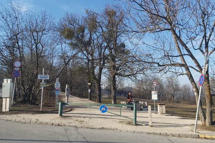 A Normafán két táblára is ki van írva, hogy kerékpárral behajtani tilos – Fotó: Gálhidy László / WWF