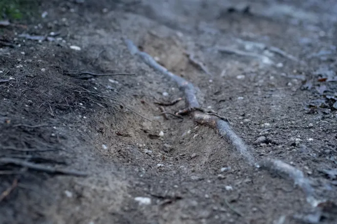 Downhillesek miatt lepusztult talaj a Kevélyekben – Fotó: Takács Rita