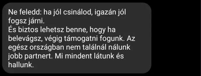 Henry egyik üzenete a Tisza korábbi informatikusának