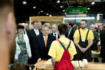 A kormány a szakmák irányába tolná a fiatalokat, de tizenöt éve nem jelentkeztek ilyen sokan egyetemre