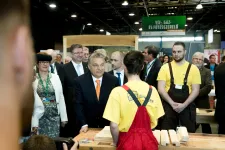 A kormány a szakmák irányába tolná a fiatalokat, de tizenöt éve nem jelentkeztek ilyen sokan egyetemre