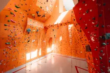 Miért lett ilyen menő sport a falmászás?