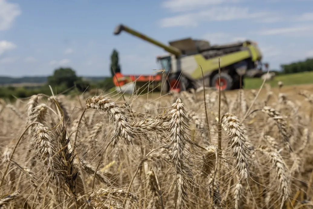 A kenyér gyártásánál nagyobb költség most az adó, mint a liszt