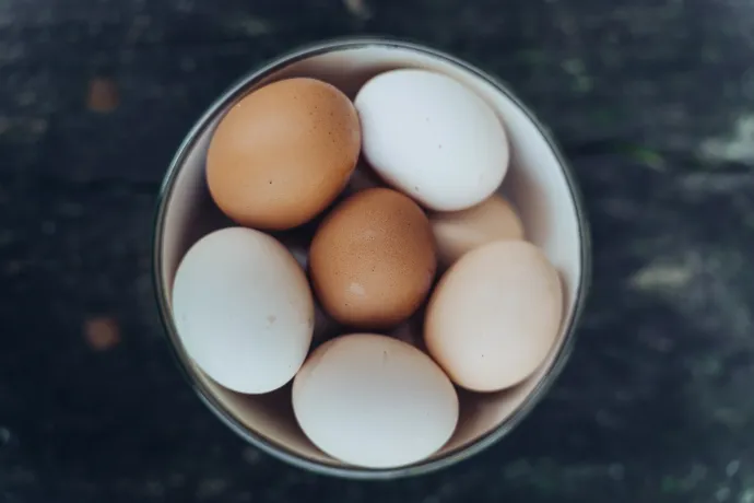 Fotó: Kiss Péter / Horhos-Völgyi Ökobirtok