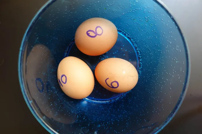 Kísérletek a tojás főzési idejével – Fotó: Ács Bori / Telex