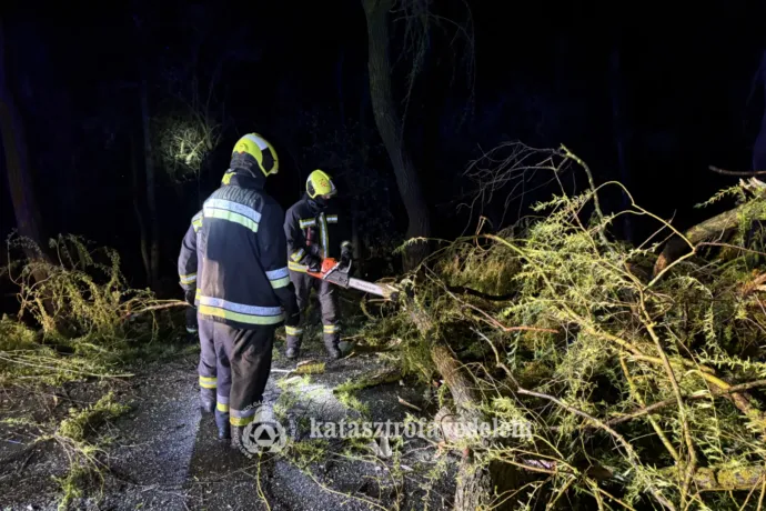 Utakra, felsővezetékekre dőltek fák a nyugati megyékben az erős szél miatt