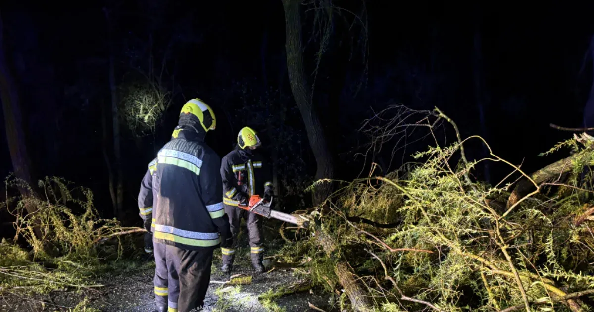 Utakra, felsővezetékekre dőltek fák a nyugati megyékben az erős szél miatt