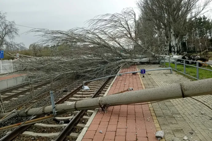 Vasúti megállónál dőlt ki egy út menti fa, vitte magával a felsővezetéket és a tartóoszlopot is