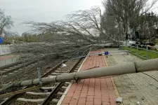 Vasúti megállónál dőlt ki egy út menti fa, vitte magával a felsővezetéket és a tartóoszlopot is