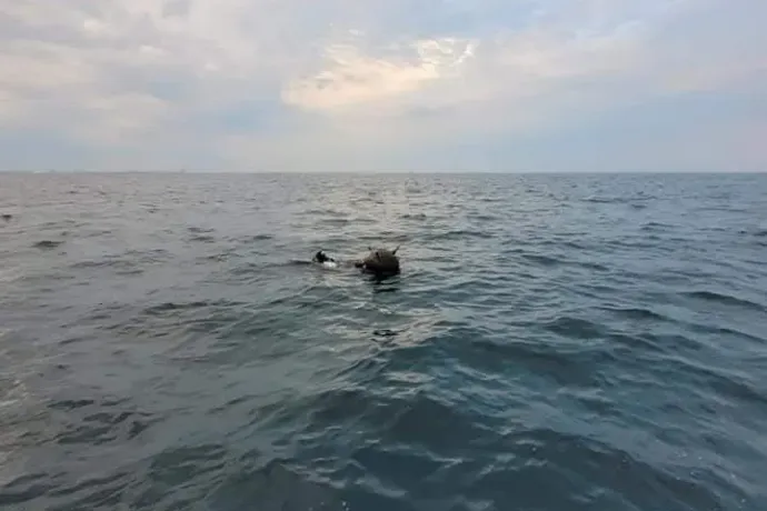 A Fekete-tengeren sodródó tengeri aknák miatt szólalkozott össze Románia és Oroszország