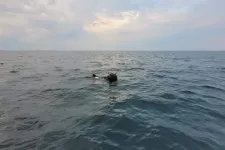 A Fekete-tengeren sodródó tengeri aknák miatt szólalkozott össze Románia és Oroszország