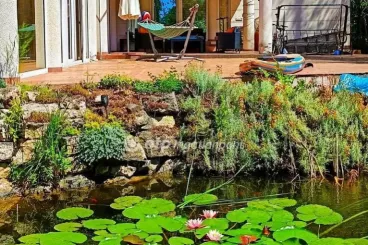 Ez a medencés, kerti-tavas birtok lehet a végállomás a Szentendrei-szigeten