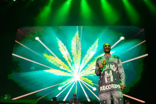 Új magyar kutatás borítja a narratívát a cannabis káros hatásairól