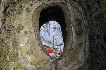 A Vértesben a legedzettebb kéktúrázó is sűrűn felvonja a szemöldökét