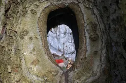 A Vértesben a legedzettebb kéktúrázó is sűrűn felvonja a szemöldökét