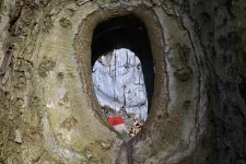 A Vértesben a legedzettebb kéktúrázó is sűrűn felvonja a szemöldökét