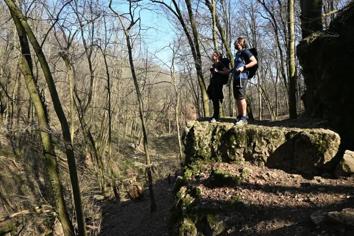 Mária-szakadék, Körtvélyesi-kilátó, Mária-portré, erdei temető – Fotó: Tenczer Gábor / Telex