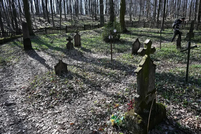 Mária-szakadék, Körtvélyesi-kilátó, Mária-portré, erdei temető – Fotó: Tenczer Gábor / Telex