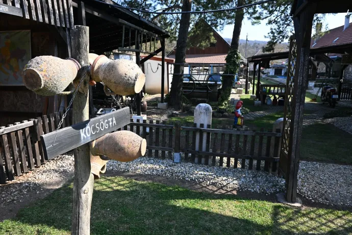 Kőhányáspuszta, bükk-katedrális, Oroszlánkői-barlang – Fotó: Tenczer Gábor / Telex