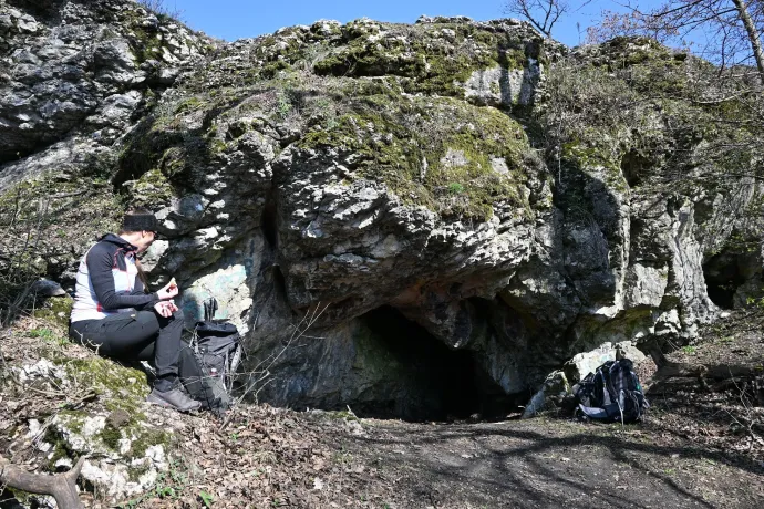 Kőhányáspuszta, bükk-katedrális, Oroszlánkői-barlang – Fotó: Tenczer Gábor / Telex