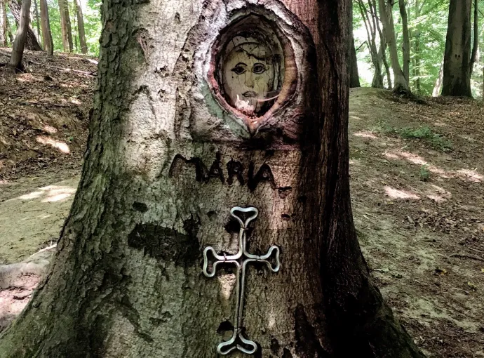 Mária-szakadék, Körtvélyesi-kilátó, Mária-portré, erdei temető – Fotó: Tenczer Gábor / Telex