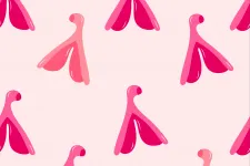 Teljesen feltérképezték a csikló idegpályáit