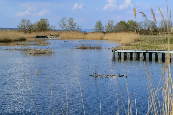 Fotó: Nagy Márta / Telex