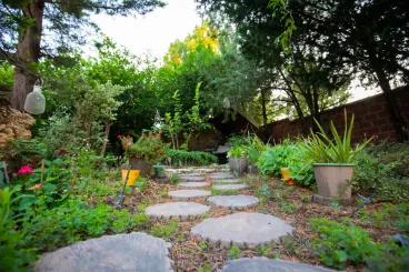 Nem akarsz többé füvet nyírni? Látványos alternatívák a gyep helyett