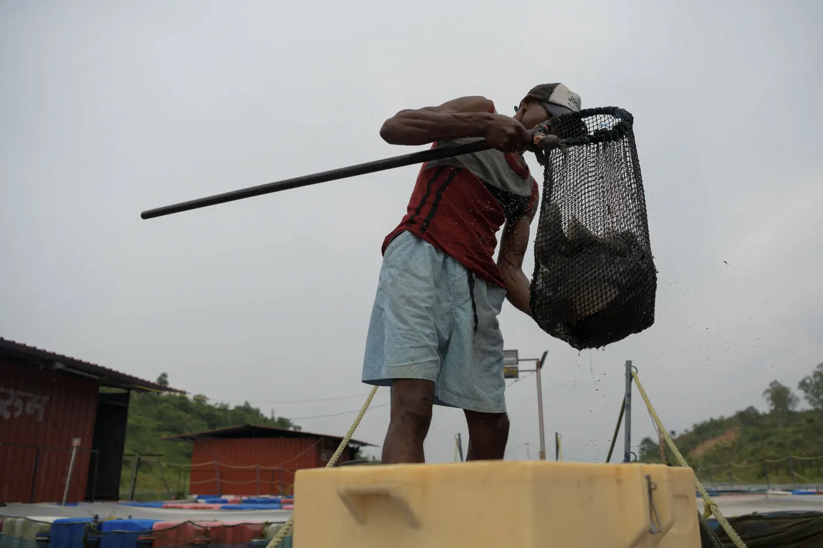 A Kenapara Ökoparkban egy haltenyésztési projektet is elindítottak a turisztikai fejlesztések mellett – Fotó: Avijit Ghosh / Reuters