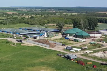 A kisbériek megnyerték háborújukat a szarszag ellen