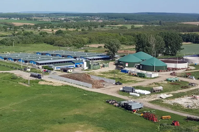 A kisbériek megnyerték háborújukat a szarszag ellen