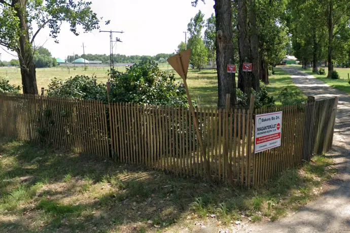 A kisbériek megnyerték háborújukat a szarszag ellen