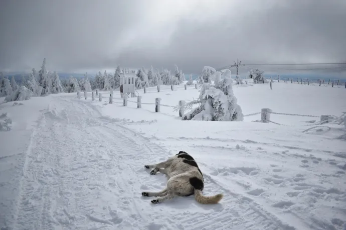 Fotó: Tőkés Hunor / Transtelex