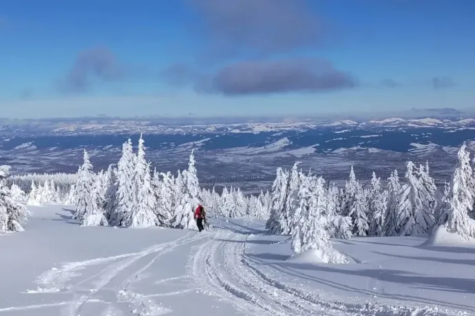 Fotó: Tőkés Hunor / Transtelex