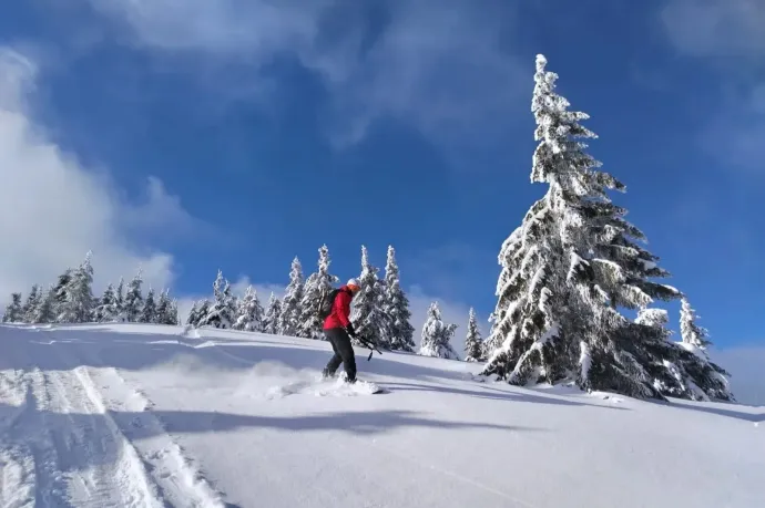 Fotó: Tőkés Hunor / Transtelex