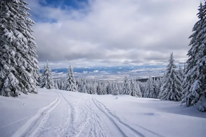 Fotó: Tőkés Hunor / Transtelex
