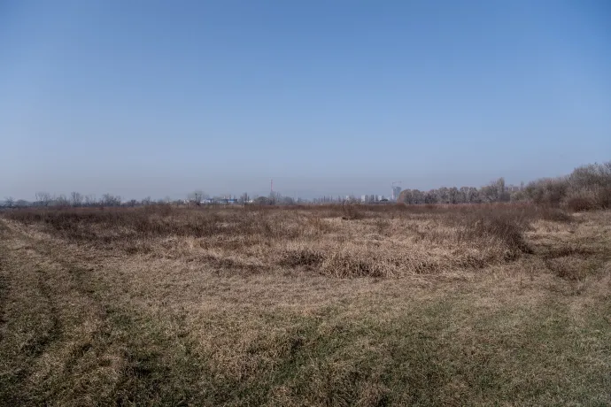 A terület egy része Észak-Csepelen – Fotó: Bődey János / Telex