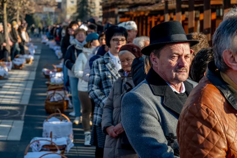 Fotó: Tamás Zsófia / Transtelex