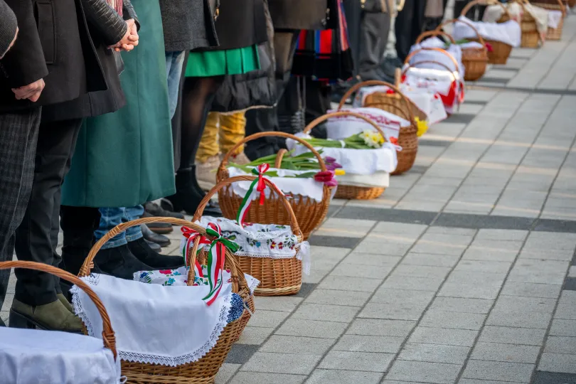 Fotó: Tamás Zsófia / Transtelex
