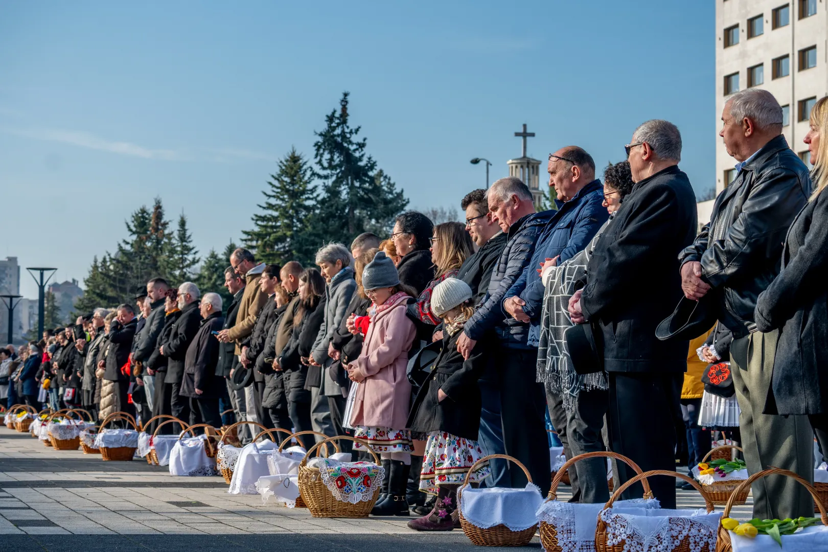 Fotó: Tamás Zsófia / Transtelex