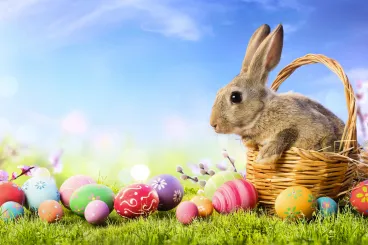 A húsvét számokban