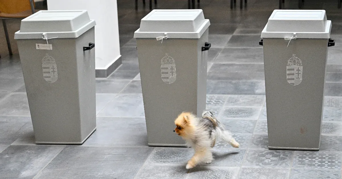 A választási részvétel dinamikája: A számok mögött rejlő politikai összefüggések Magyarországon A választási részvétel dinamikája: A számok mögött rejlő politikai összefüggések Magyarországon