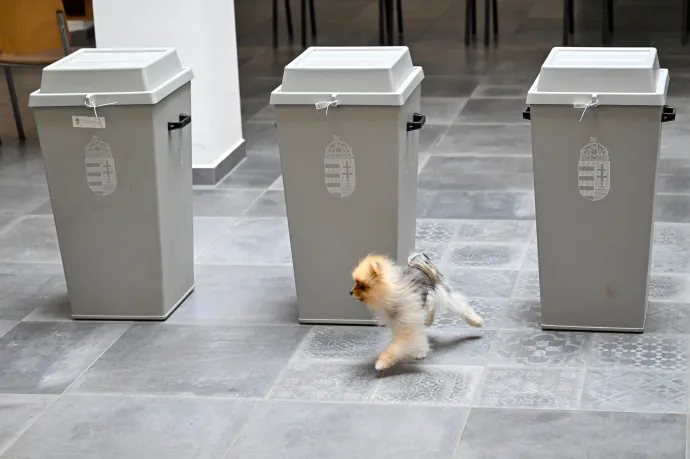 Autokráciában másként működik a verseny, de ha van tét, fokozódik a választási részvétel