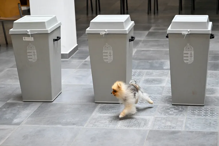 Autokráciában másként működik a verseny, de ha van tét, fokozódik a választási részvétel