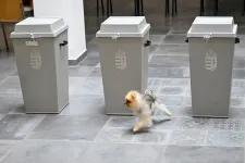 Autokráciában másként működik a verseny, de ha van tét, fokozódik a választási részvétel