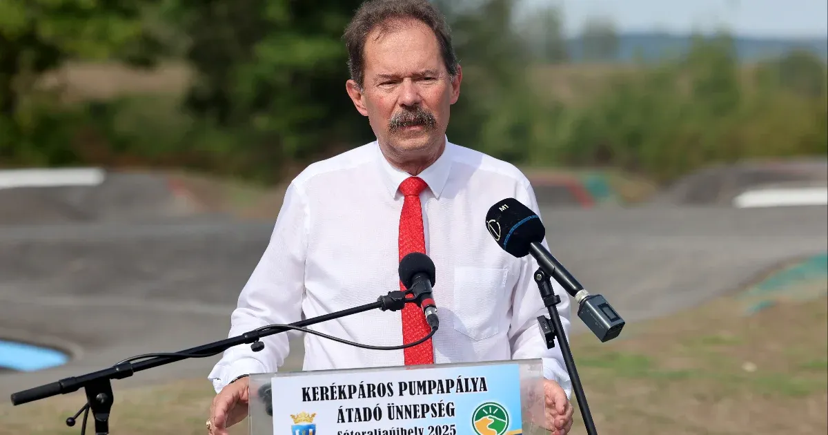 Felszólították Wáberert, mondjon le tisztségeiről.