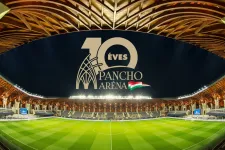 2011 óta 159 milliárd forint áramlott a felcsúti fociba