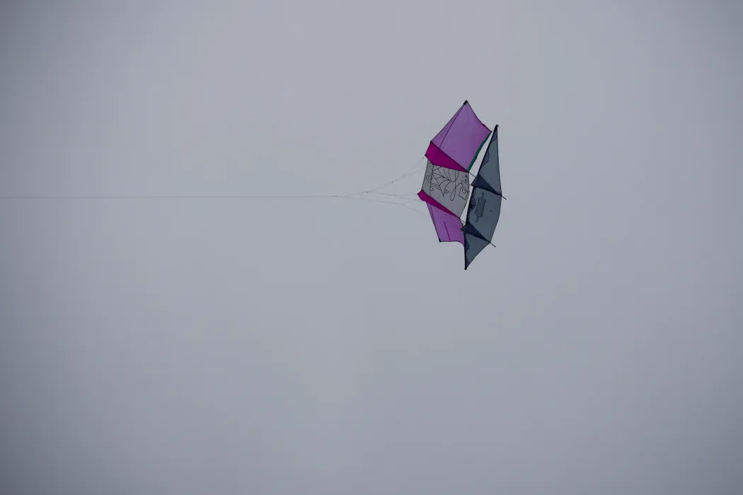 Fotó: Márkos Tamás / Transtelex