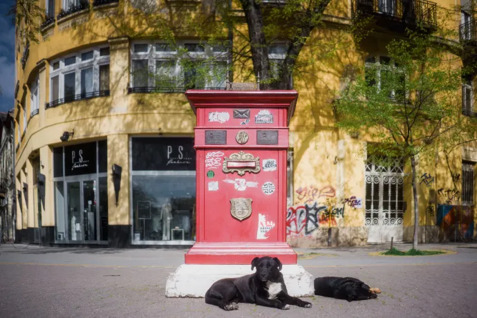 Fotó: Bálint András / Szegeder