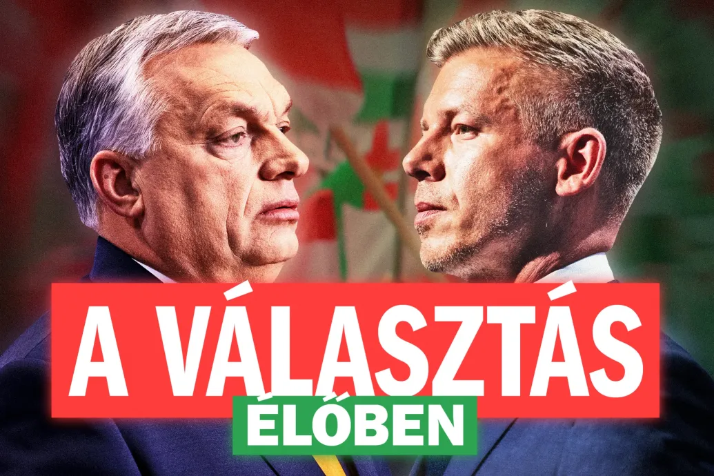 Indul a Telex egész napos választási műsora, élőben Bódi Mátyással